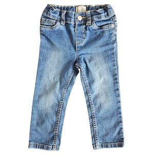 ADD-ON | The Children’s Place Toddler Girls Skinny Jeans Size 2T